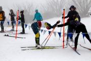 2019 Australian XC Ski Open Sprint Championship Image