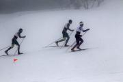 2019 Australian XC Ski Open Sprint Championship Image