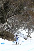 2019 Australian XC Junior Sprint Championship-Falls Creek Image