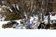 2019 Australian XC Junior Sprint Championship-Falls Creek Image
