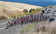 Cam Myer & Rabobank cyclist lead riders up Sellicks Hill Image
