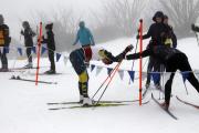 2019 Australian XC Ski Open Sprint Championship Image