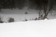 2019 Australian XC Ski Open Sprint Championship Image