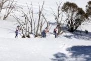 2019 Australian XC Junior Sprint Championship-Falls Creek Image