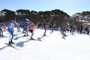 Start Kangaroo Hoppett Image