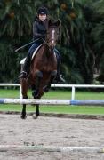 Powering over the Show Jumps-Chloe Esposito-Centennial Park-Sydn Image